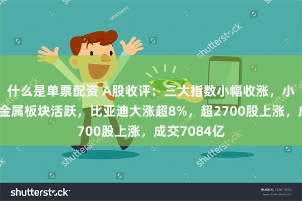 什么是单票配资 A股收评：三大指数小幅收涨，小金属、有色金属板块活跃，比亚迪大涨超8%，超2700股上涨，成交7084亿