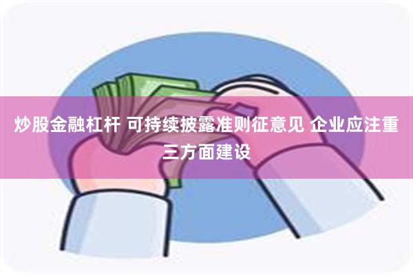 炒股金融杠杆 可持续披露准则征意见 企业应注重三方面建设