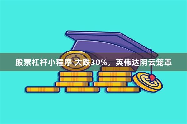 股票杠杆小程序 大跌30%，英伟达阴云笼罩