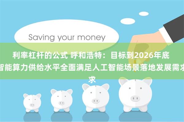 利率杠杆的公式 呼和浩特：目标到2026年底 智能算力供给水平全面满足人工智能场景落地发展需求